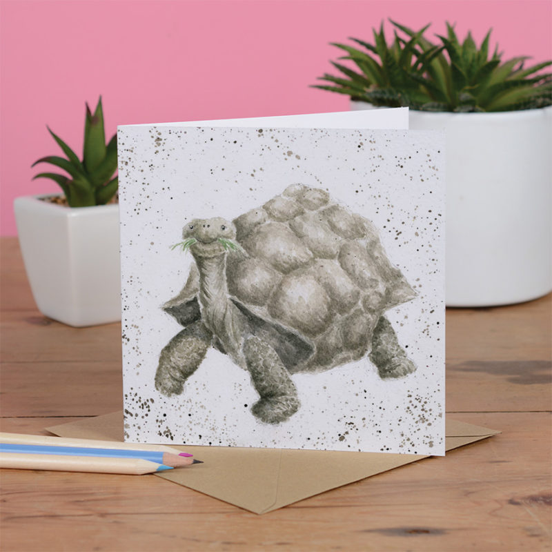 Grußkarte Schildkröte