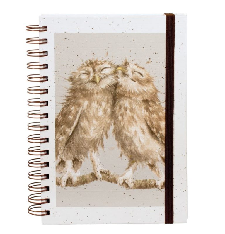 Birds of a Feather Notizbuch mit Eulen – A5 Notizbuch mit Spiralbindung von Wrendale Designs
