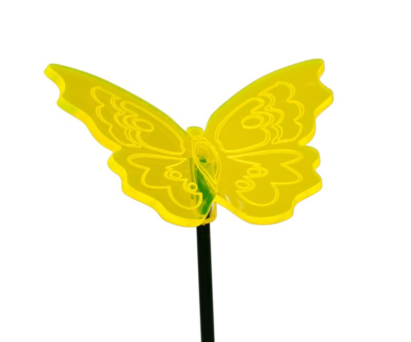 Sonnenfänger Schmetterling Kleine Eule, gelb