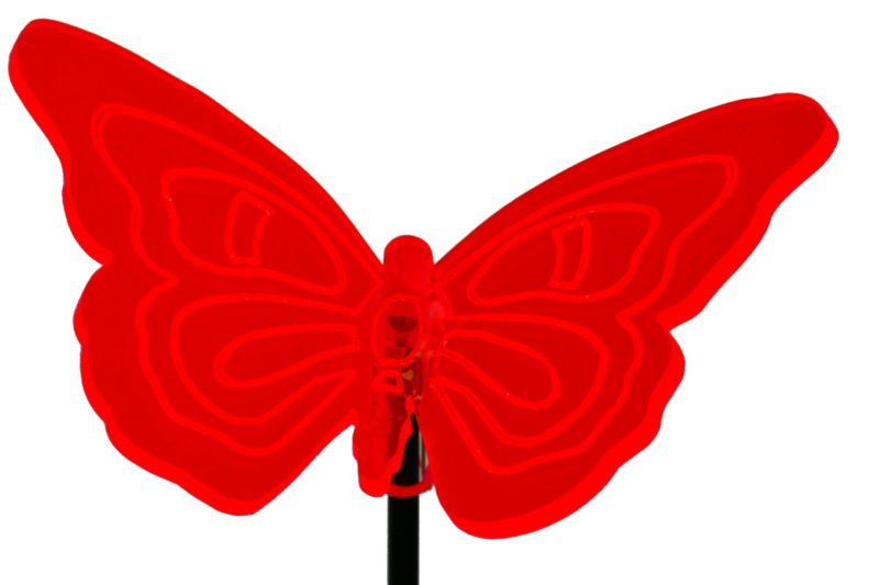 Sonnenfänger Schmetterling Katzenauge, rot