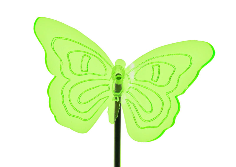 Sonnenfänger Schmetterling Katzenauge mit gebogenen Flügeln, grün fluoreszierend