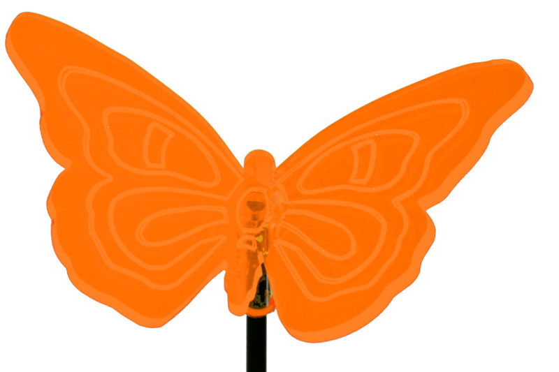 Sonnenfänger Schmetterling Katzenauge mit gebogenen Flügeln, orange fluoreszierend