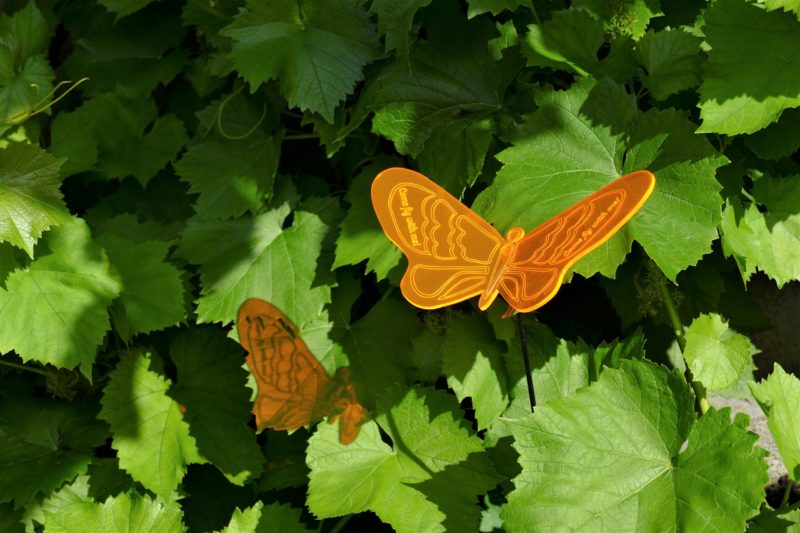 Sonnenfänger Schmetterling großer Lindling aus fluoreszierendem Acrylglas, graviert mit gebogenen Flügeln, personalisierbar