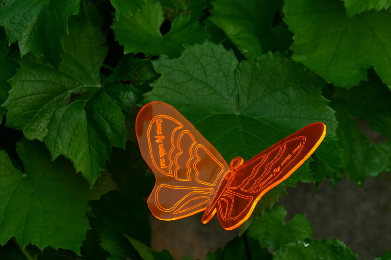 Sonnenfänger Schmetterling großer Lindling aus fluoreszierendem Acrylglas, graviert mit gebogenen Flügeln, personalisierbar